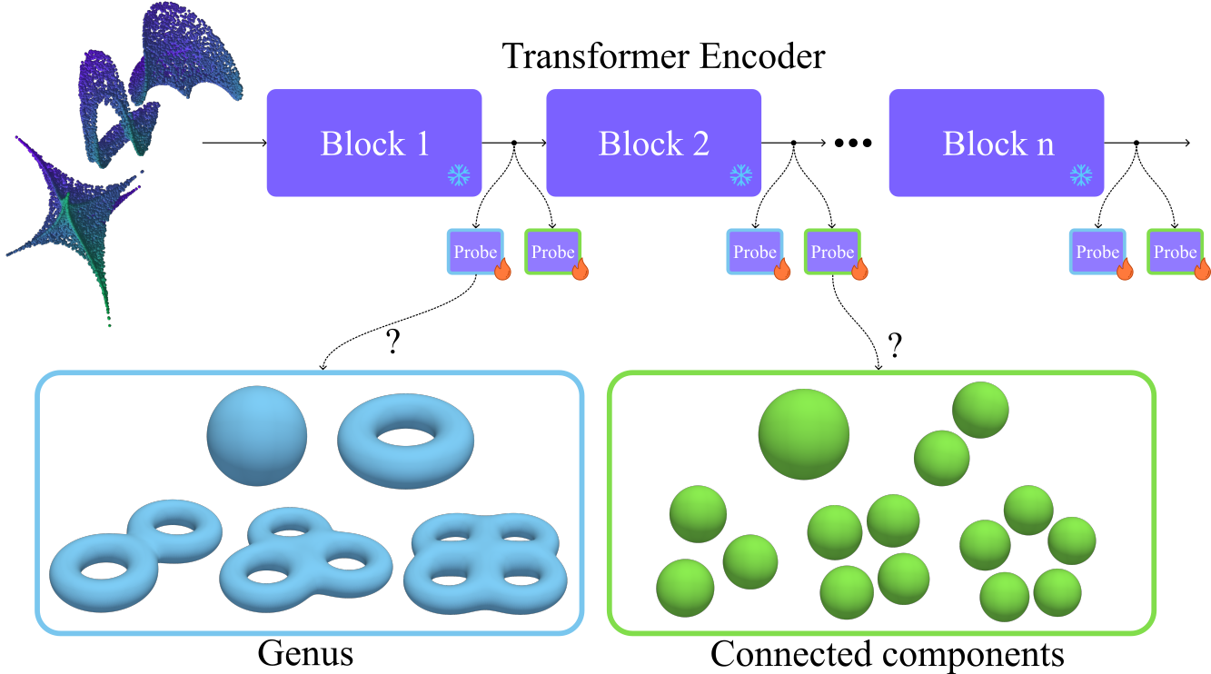 Probing illustration